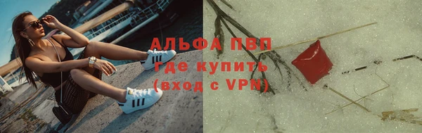 прущие грибы Арсеньев