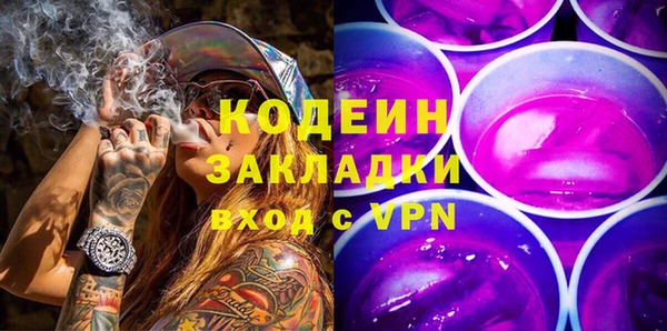 прущие грибы Арсеньев