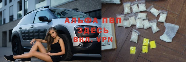 прущие грибы Арсеньев
