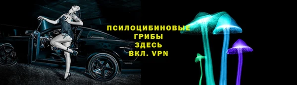 прущие грибы Арсеньев