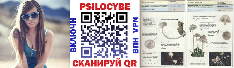 Галлюциногенные грибы Psilocybine cubensis  mega ТОР  Саки 